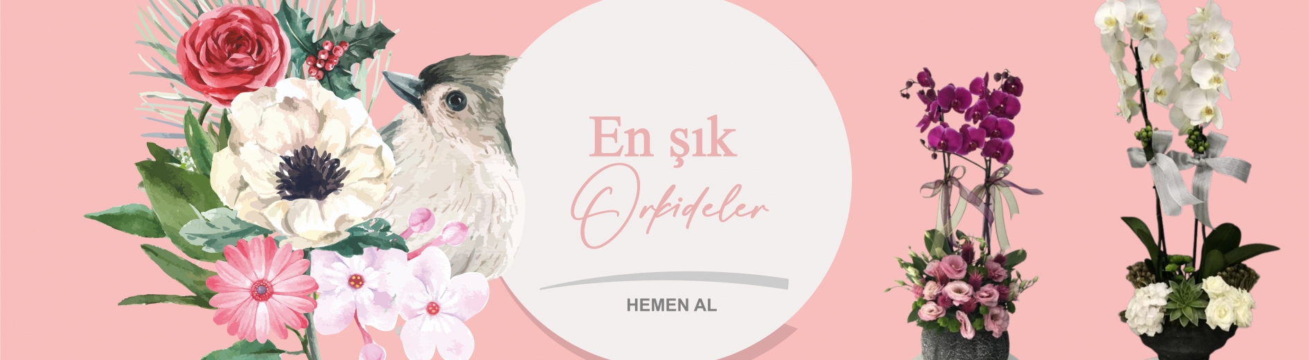 https://www.asilcicek.com/