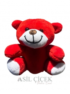 20 CM AYICIK (RENK SEÇENEKLİ)