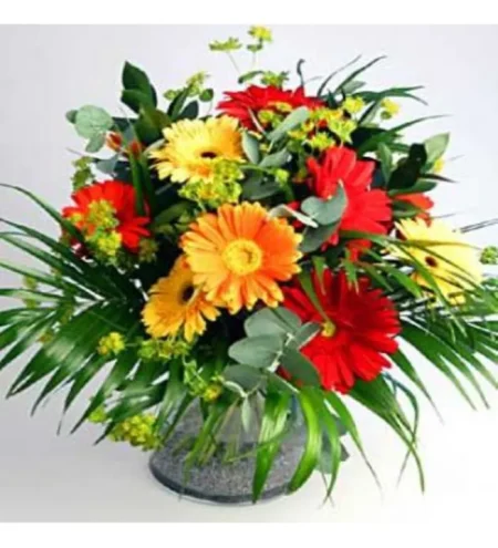Gerbera Aranjmanı
