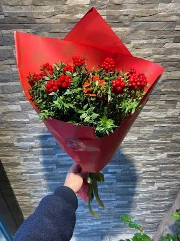 Kokina Buketi