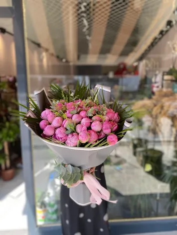 Pembe Şakayık